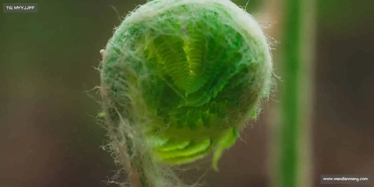 j9九游会登录入口首页新版——🏆冠军之心，永不言败！